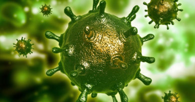 Вирусы бактериофаги