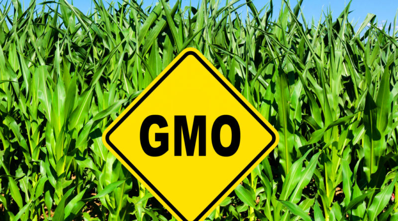 ГМО масло из сои, так ли оно опасно? Американские рестораны с ГМО
