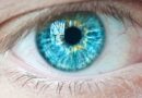 Цвет глаз и генетика