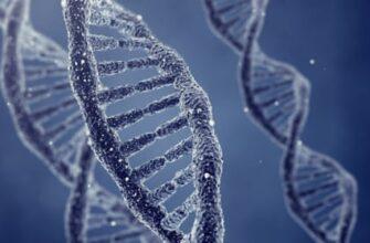 Простой тест ДНК может выявить распространенные неврологические расстройства, говорится в исследовании