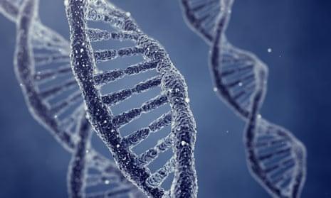 Простой тест ДНК может выявить распространенные неврологические расстройства, говорится в исследовании