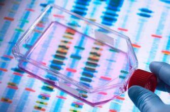 Предстоящая генетическая терапия поднимает серьезные этические вопросы, предупреждают эксперты