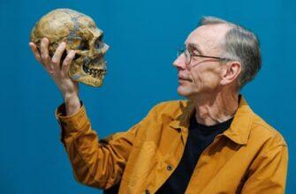 Сванте Паабо: «Возможно, пришло время переосмыслить наше представление о неандертальцах»